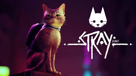 reddit strays|reddit stray game.